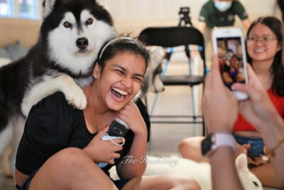 Huskitory Connecting People and Dogs - Interacting with huskies: a practical tip that changes everything